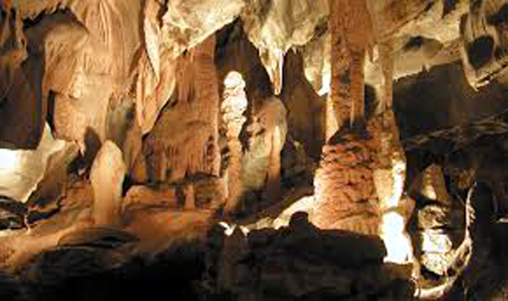 SIJU BAT CAVE (DOBAKHOL): India's Third-Longest Cave System, Meghalaya